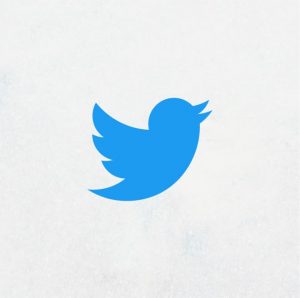 Twiteer Logo